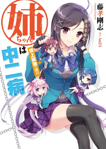 姉ちゃんは中二病 地上最強の弟!? (HJ文庫) 書影