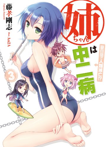 姉ちゃんは中二病3 夏合宿で人類滅亡! ? (HJ文庫) 書影